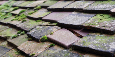 Ruscote roof repair costs
